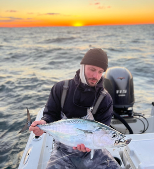 False Albacore fishing in Fairfield CT!
